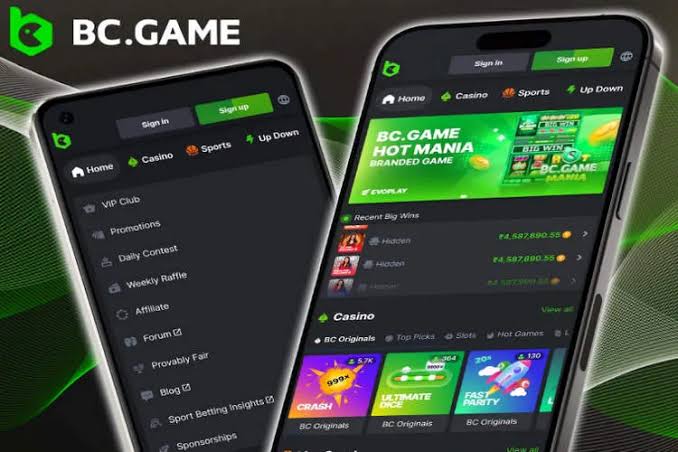 Maximize Your Wins Exploring BC.Game Bonuses and Promo Codes